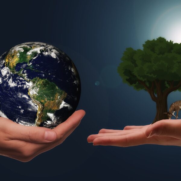 How to Incorporate Sustainability and Social Responsibility Into Your Startup