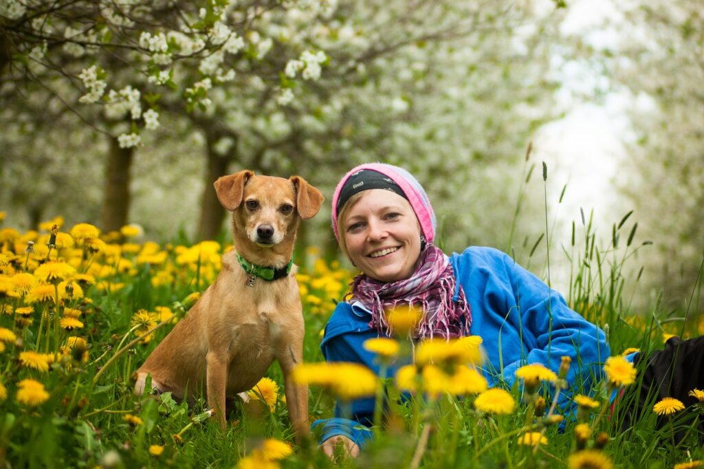 Managing a Dog Rescue Enterprise