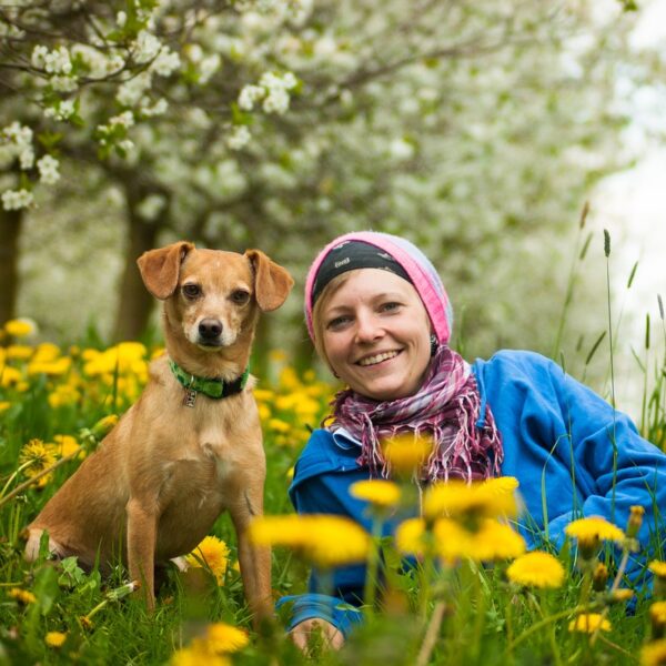 Managing a Dog Rescue Enterprise