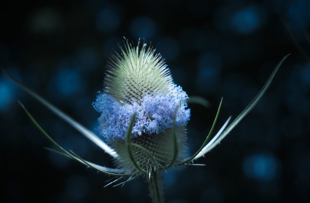 How to Bootstrap Your Startup and Save Money on Expenses