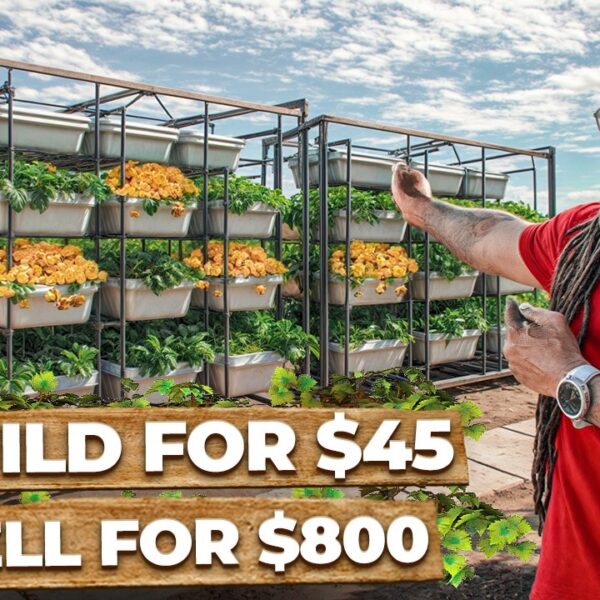 How this NASA Secret Could Turn Your Backyard Into $10K/Month